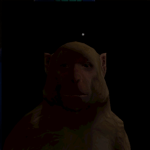 chicken chicken chicken