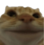 Spongebob MmwupDisappointed Sound Effect