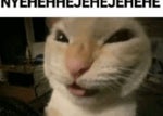 Muehehehehe cat AAHAHAHmeme