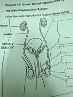 bass drop sound effect