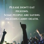 werewolf walter white