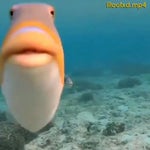 2022 10 16 11 10 29 (online audio converter