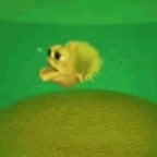 Lububu Phonk - Sound