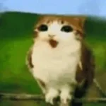 New World - outcome memories Meowl LMS p4