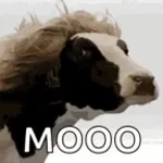 LOOOOOOOB (but louder)