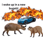 i woke up in a new bugatti