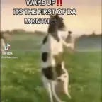 First of the Month(SLOWED)