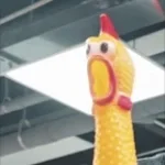 Rubber chicken drowning