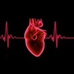 Phas Heart Beat (copy)