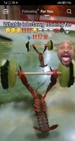 What's blud waffling on about - Sound