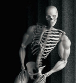 DJ TENEBROSO ORIGINAL