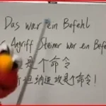 Das war ein Befehl - Angriff Steiner - Chinesisch