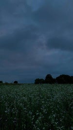 Congratulations Mac Miller (Piano Cover)