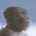 angy-monkey-mp3
