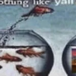 why are oranges called oranges (loud)