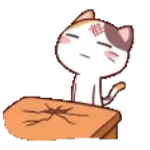 Zostaw