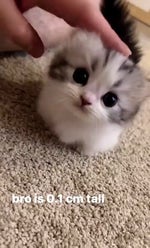 Deftones Be Quiet And Drive (Far Away)