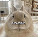 somebody gonna match my freak?