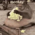 nig-mode (copy)