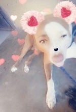 Good run /Karma police