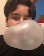 Sakızşişirenkuzey