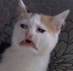 $uicideBoy$ And to those I love, thanks for sticking around. - Sound