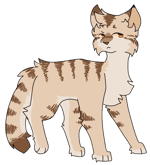 hey dogus guess what