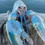 look at this dude better