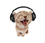 earrape sound - Sound