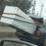 LA MuDANZA (Trompetas) (copy)