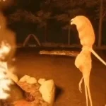 I don't like this rock