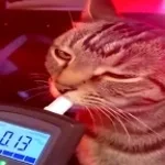 Aint no parking on the dance floor