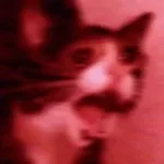 man screaming very loudly