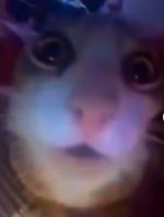 loveli lori & ovg love for you made with Voicemod 3