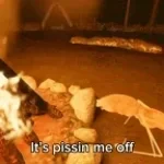 Marcus et Robert, la pierre