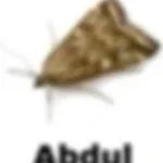 141.5 SCHNEESCHIEBER