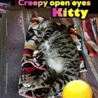 FearfulCritter (pt.1)