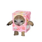 Parchís Cumpleaños feliz