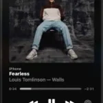 zdrajca metalu - wiktor ole cover