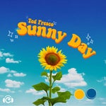 Sunny Day Ted Fresco - Sound