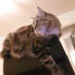 distorted Elevator Music