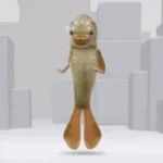 BOO