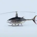 Fish Fard