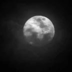 Livin in the Sunlight, by tinytim