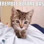 TREMBLE BEFORE BAST (BLACKPANTHER)