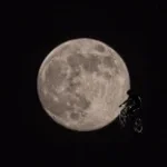 Buster_-_Polnyjj_Bak