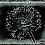 Nettspend that one song