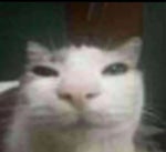 Bluezão EU TO PASSANDO FOME PAGBANK