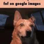 Si gordo si! No no de lado ya no ( Natalan) xD