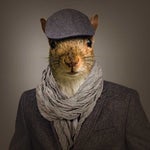 NİYAZİABİNİZ - Sound